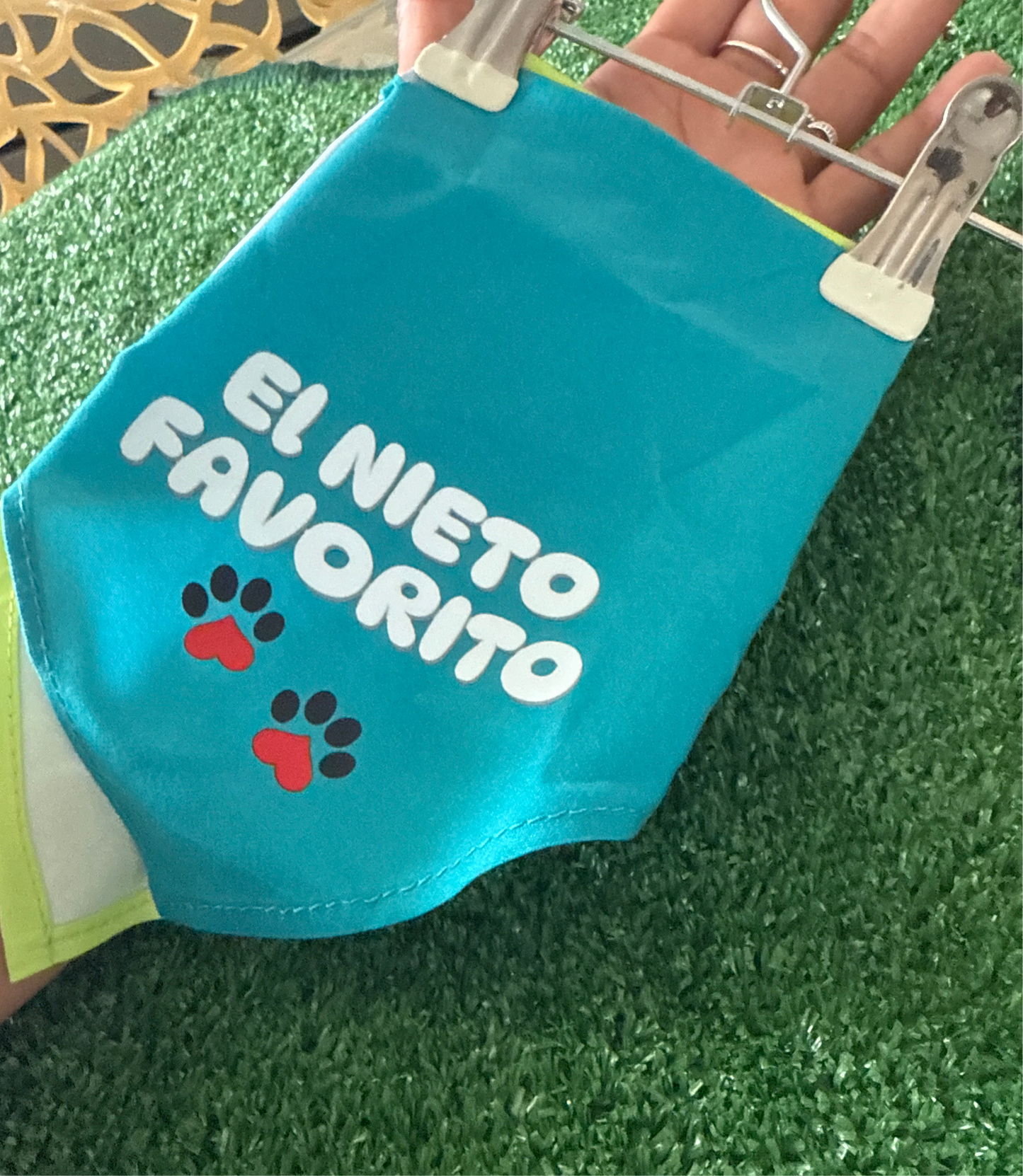 El Nieto Favorito