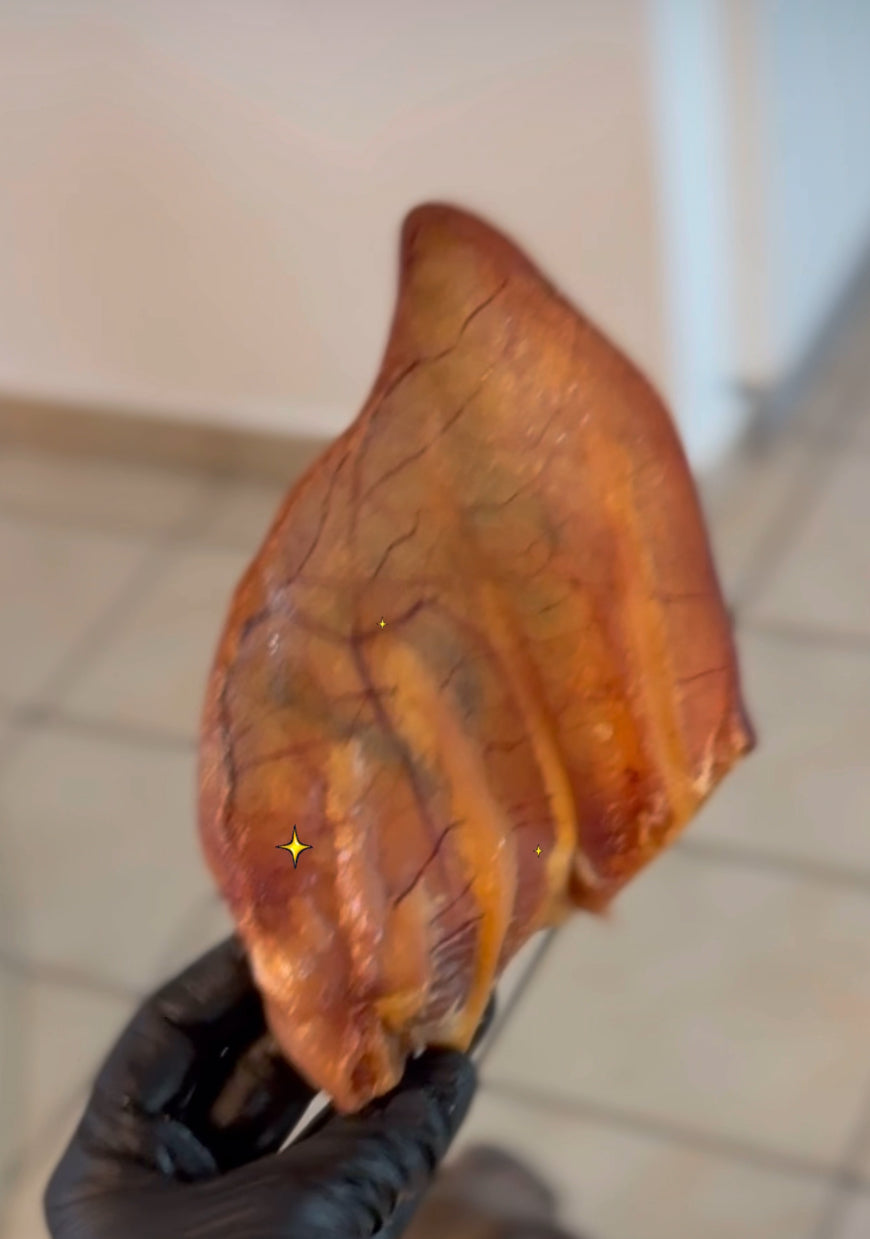 Orejas de Cerdo