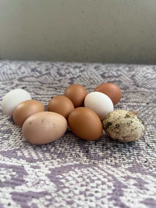 Huevos Khali’s (Solo Pick Up)