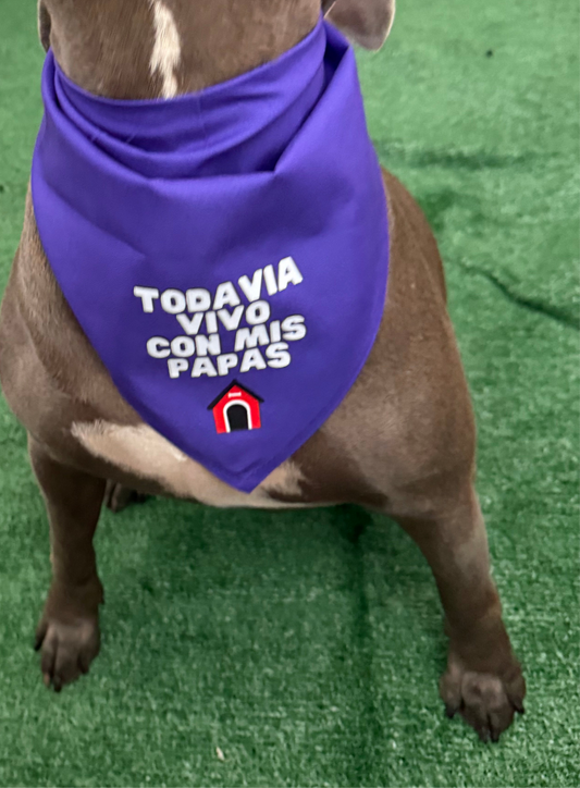 Todavía vivo con mis papas