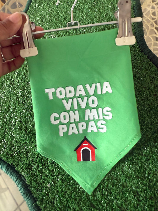 Todavía vivo con mis papas